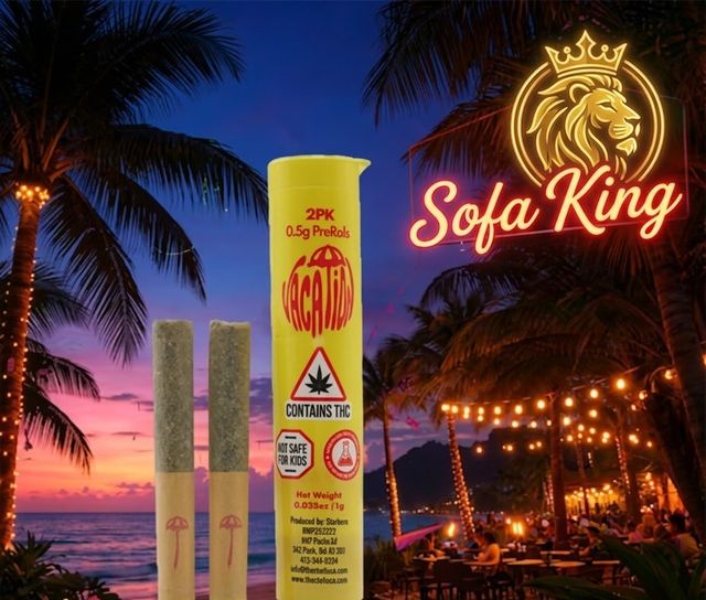 Sofa King Travel Pair Vacation Sofa King Travel Pair Vacation