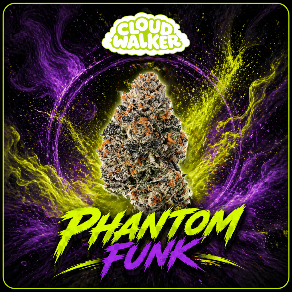 Phantom Funk