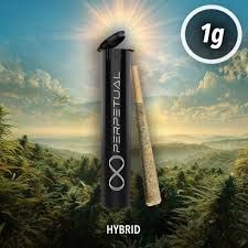 Rainbow Chip 1G Pre-Roll PERPETUAL