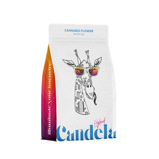 Fort Knox Candela