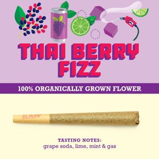 Thai Berry Fizz 1G Pre-Roll Organic Paper Crane Provisions, LLC