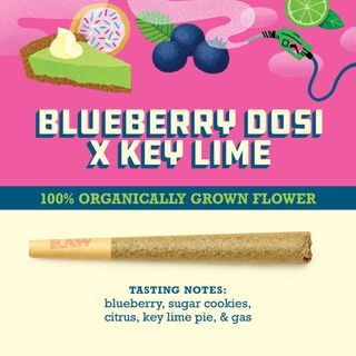 Blueberry Dosi x Key Lime Pie 1G Pre-Roll Organic Paper Crane Provisions, LLC