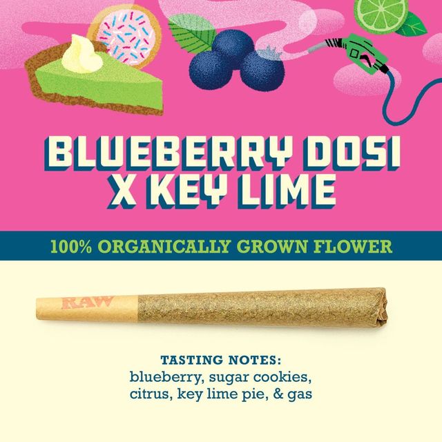 Blueberry Dosi x Key Lime Pie 1G Pre-Roll Organic Paper Crane Provisions, LLC