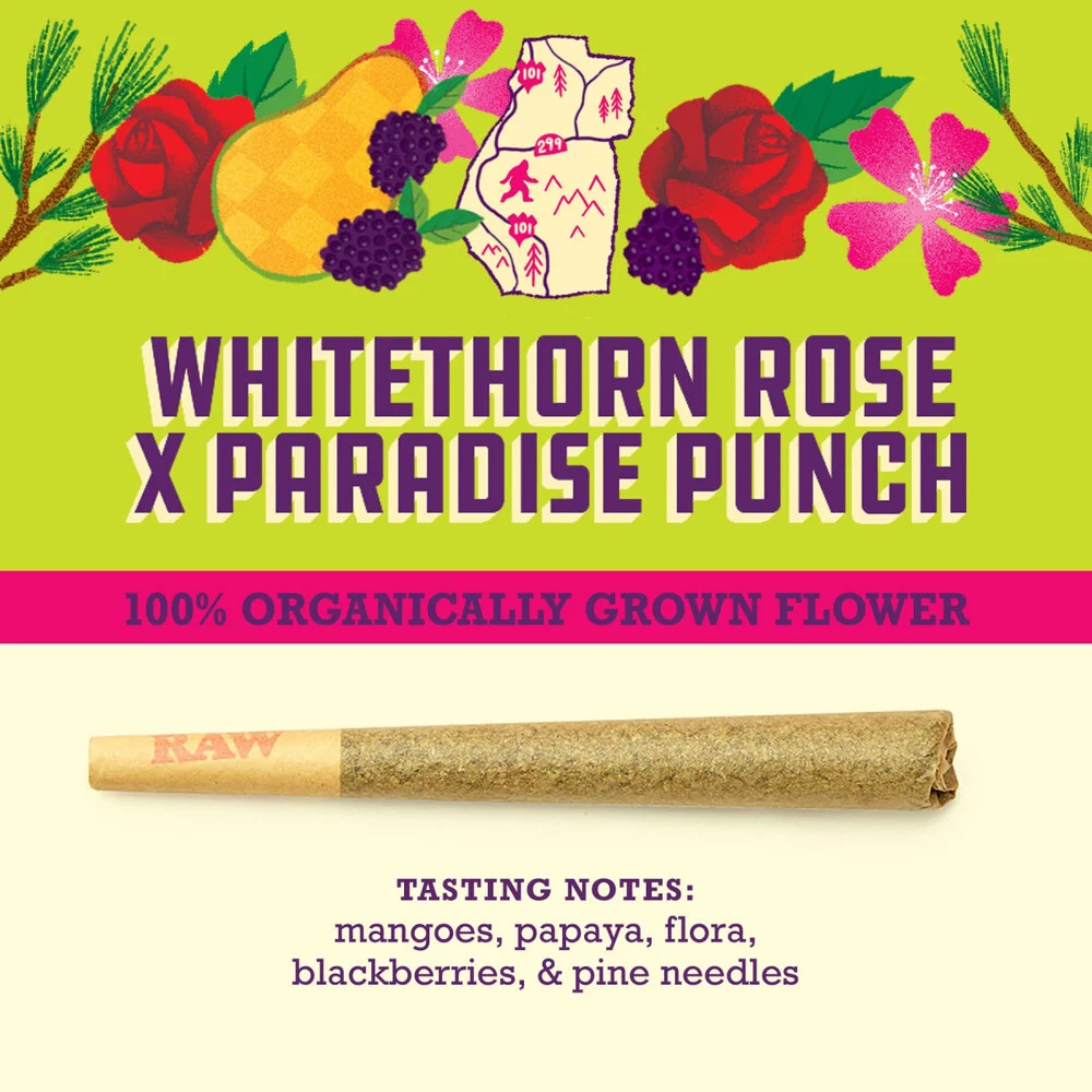 Whitethorn Rose x Paradise Punch 1G Pre-Roll Organic Paper Crane Provisions, LLC
