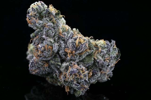 Motorbreath Midnight Fruit Company Motorbreath Midnight Fruit Company