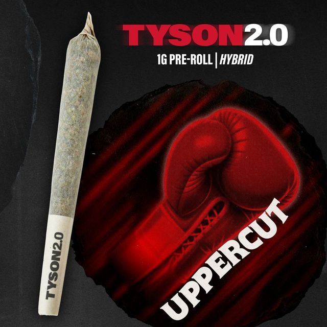 Uppercut Tyson 2.0