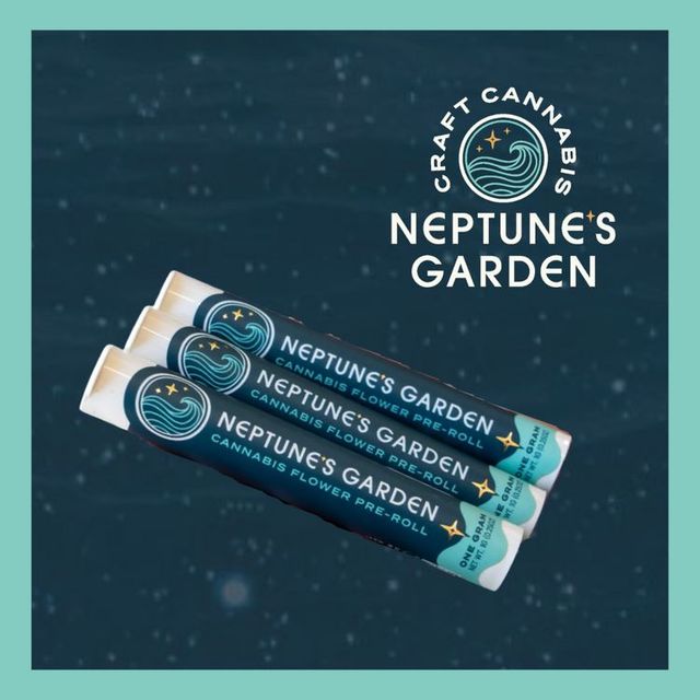 Disco Nap Neptune's Garden Disco Nap Neptune's Garden