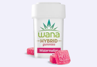 Cannabis Promo, Cannabis Sales, Cannabis Discounts, Cannabis on Sale, 30% Off 1