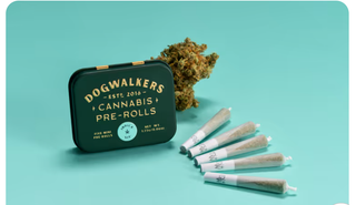 Cherry Maui Wowie - Pre Roll Multi-Pack Dogwalkers