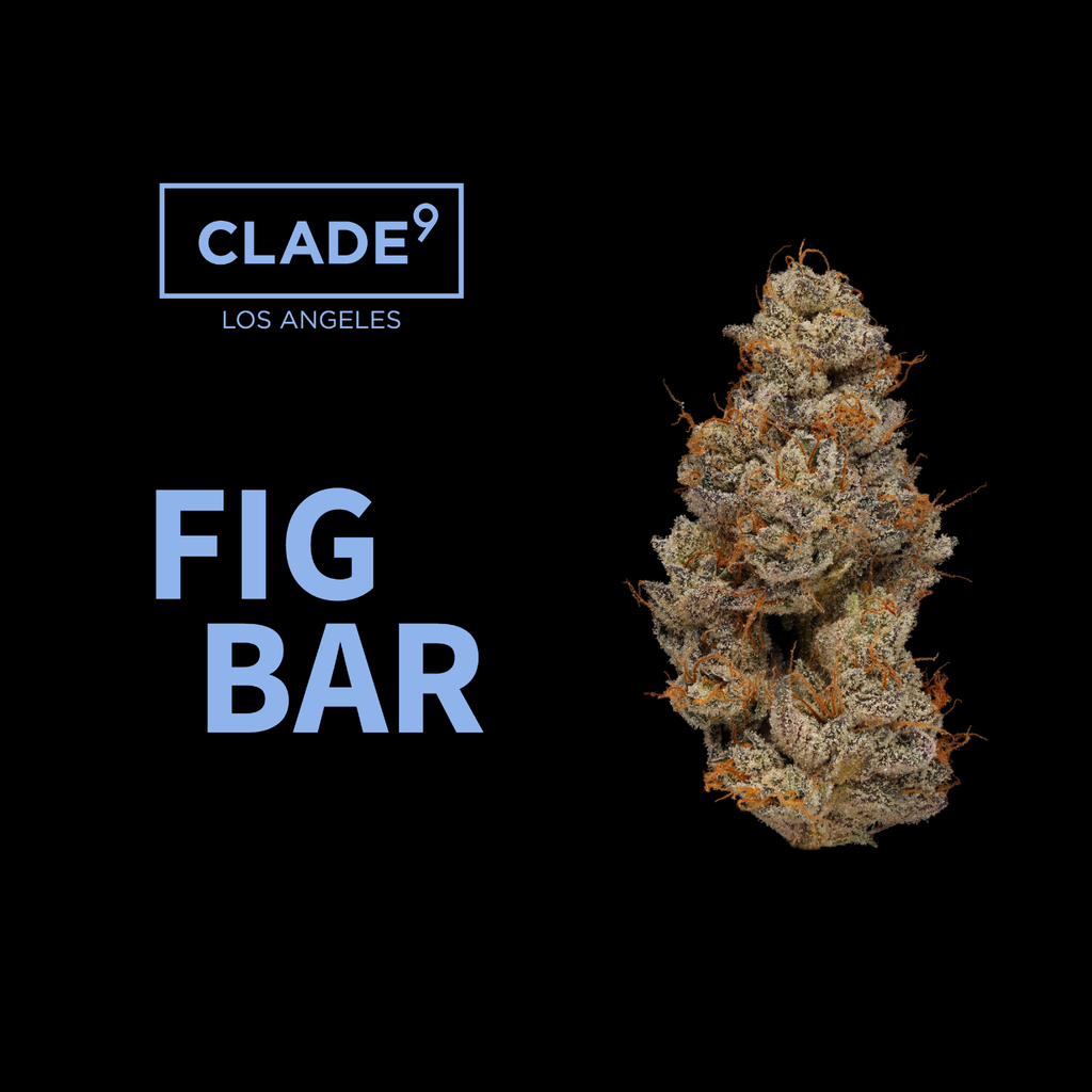 Fig Bar