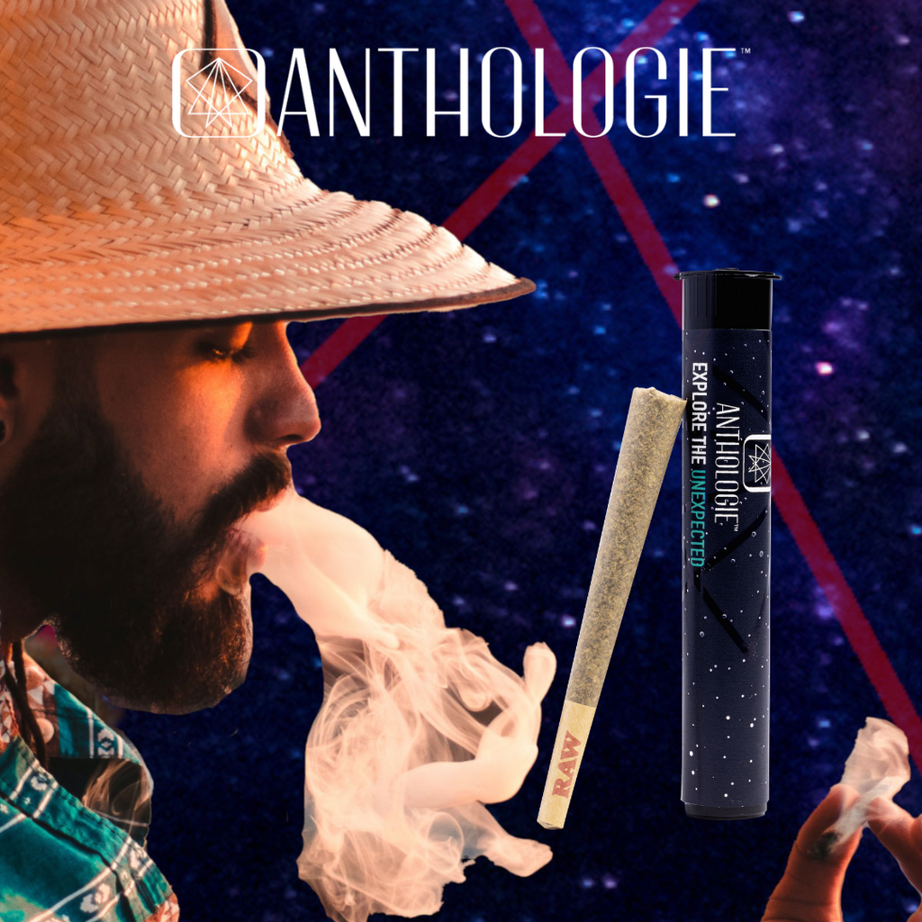 Anthologie Glitter Bomb - Single Pre Roll 1g