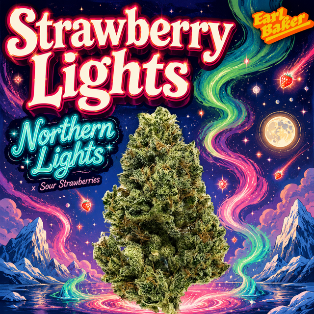 Strawberry Lights Earl Baker