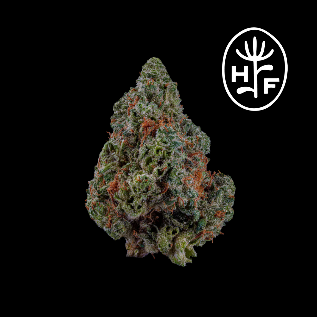 Hamilton Farms Panama Red Big Bud 3.5g