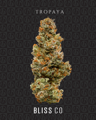Tropaya Bliss Co