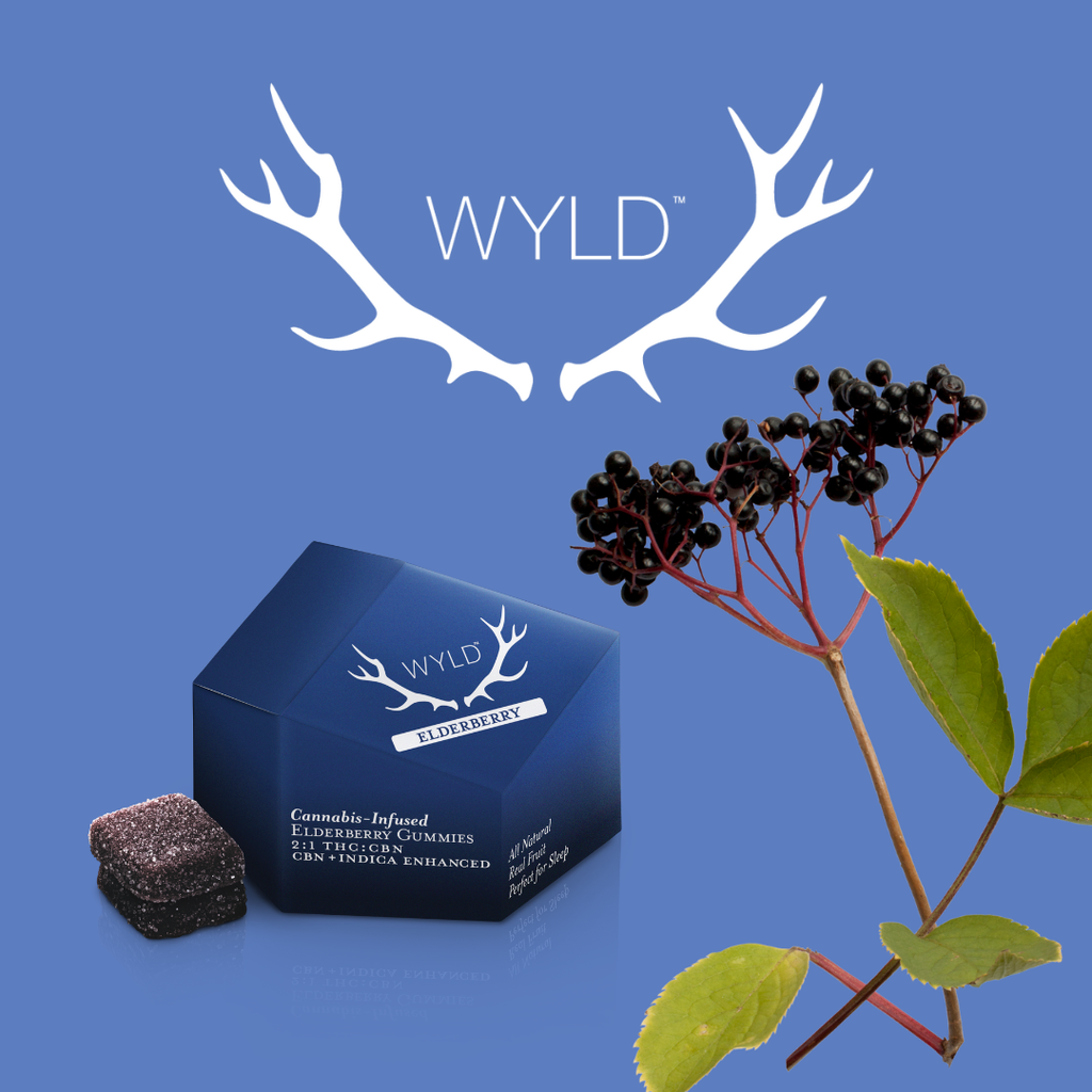 Wyld Elderberry (Sleep) 2:1 THC:CBN 10 Pack 100mg
