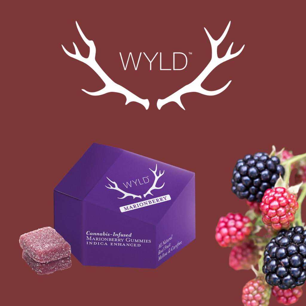 Wyld Marionberry 10 Pack 100mg