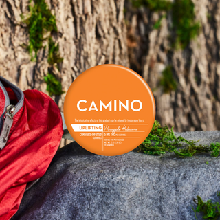 Cannabis Promo, Cannabis Sales, Cannabis Discounts, Cannabis on Sale, 25% Off 3