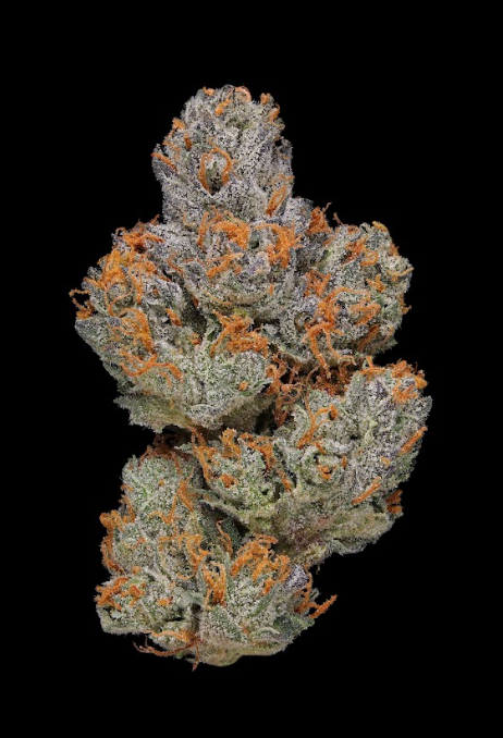 La Piff