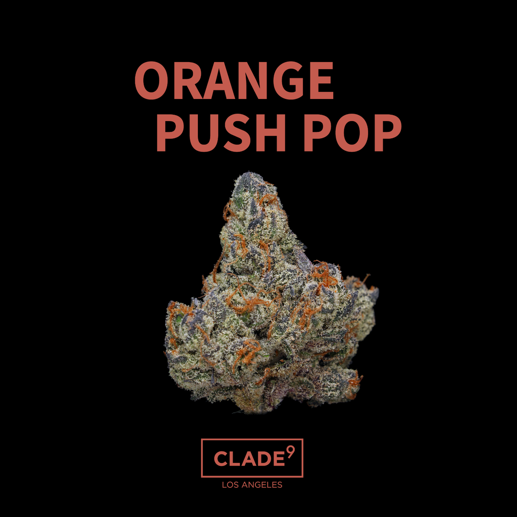Clade 9 Orange Push Pop Big Bud 7g