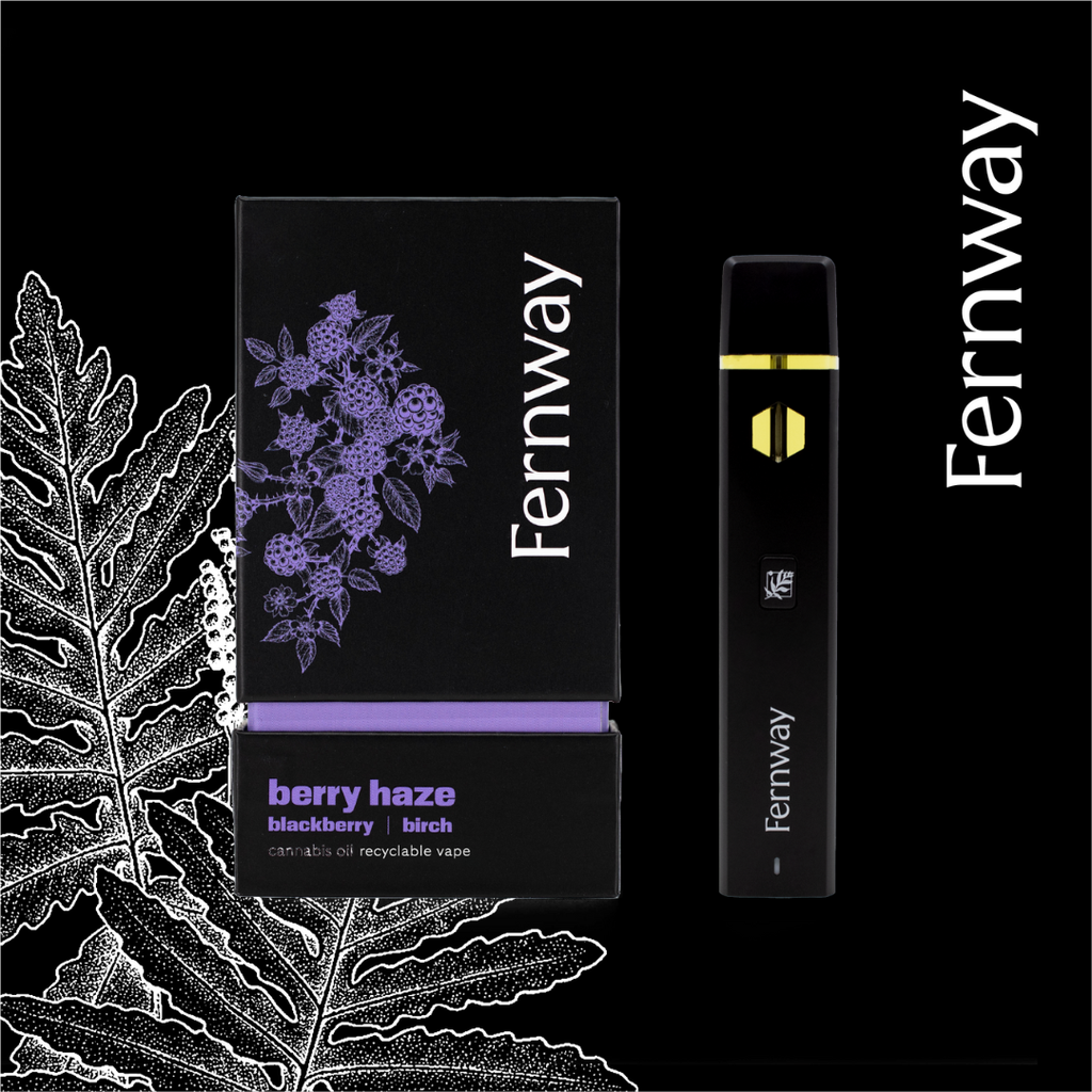 menthol vapes near me blu Disposable E Cig Menthol