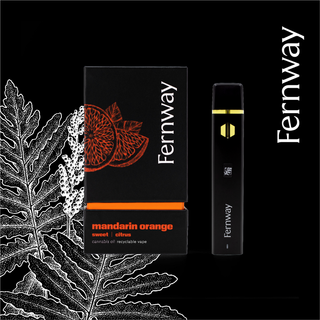 Mandarin Orange - Disposable Fernway