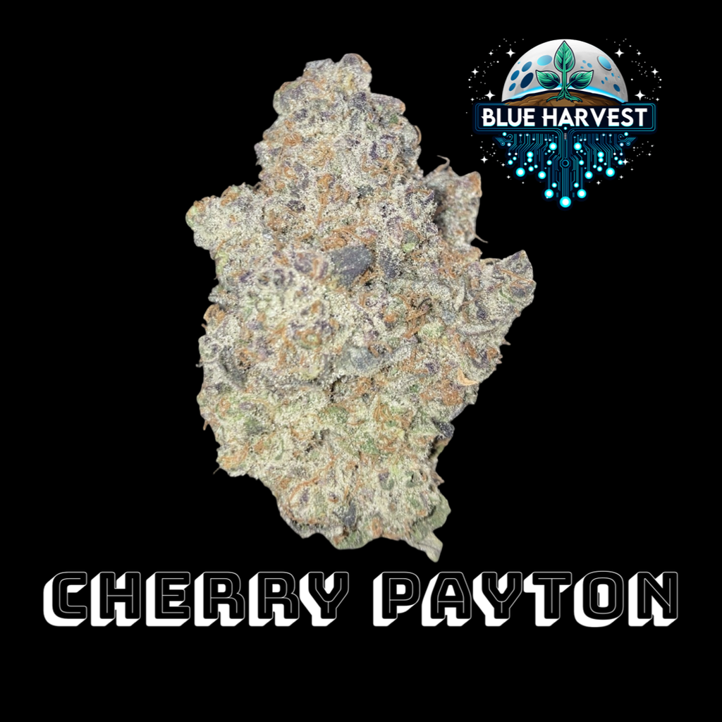 Blue Harvest Cherry Payton Big Bud 3.5g