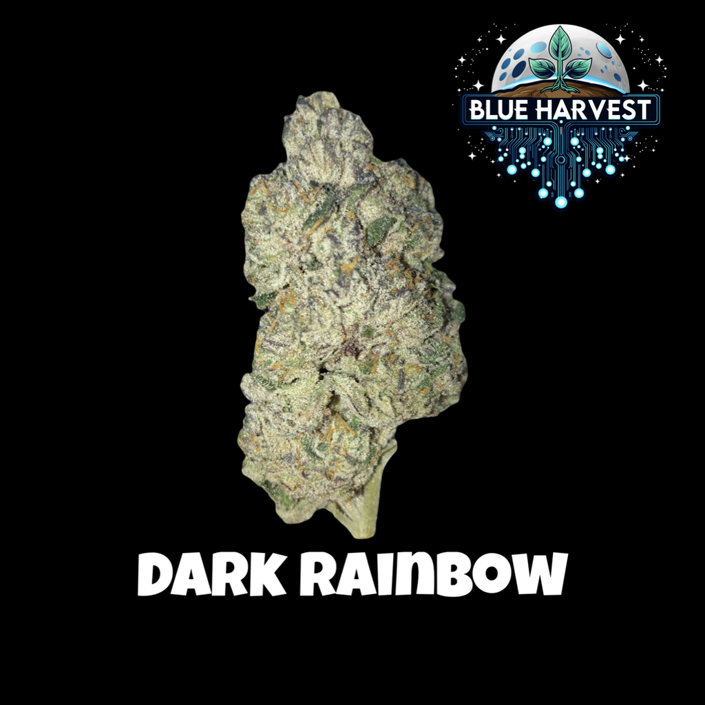 Blue Harvest Dark Rainbow Big Bud 3.5g