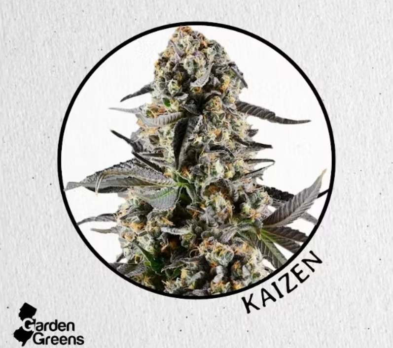 Garden Greens Kaizen Big Bud 3.5g