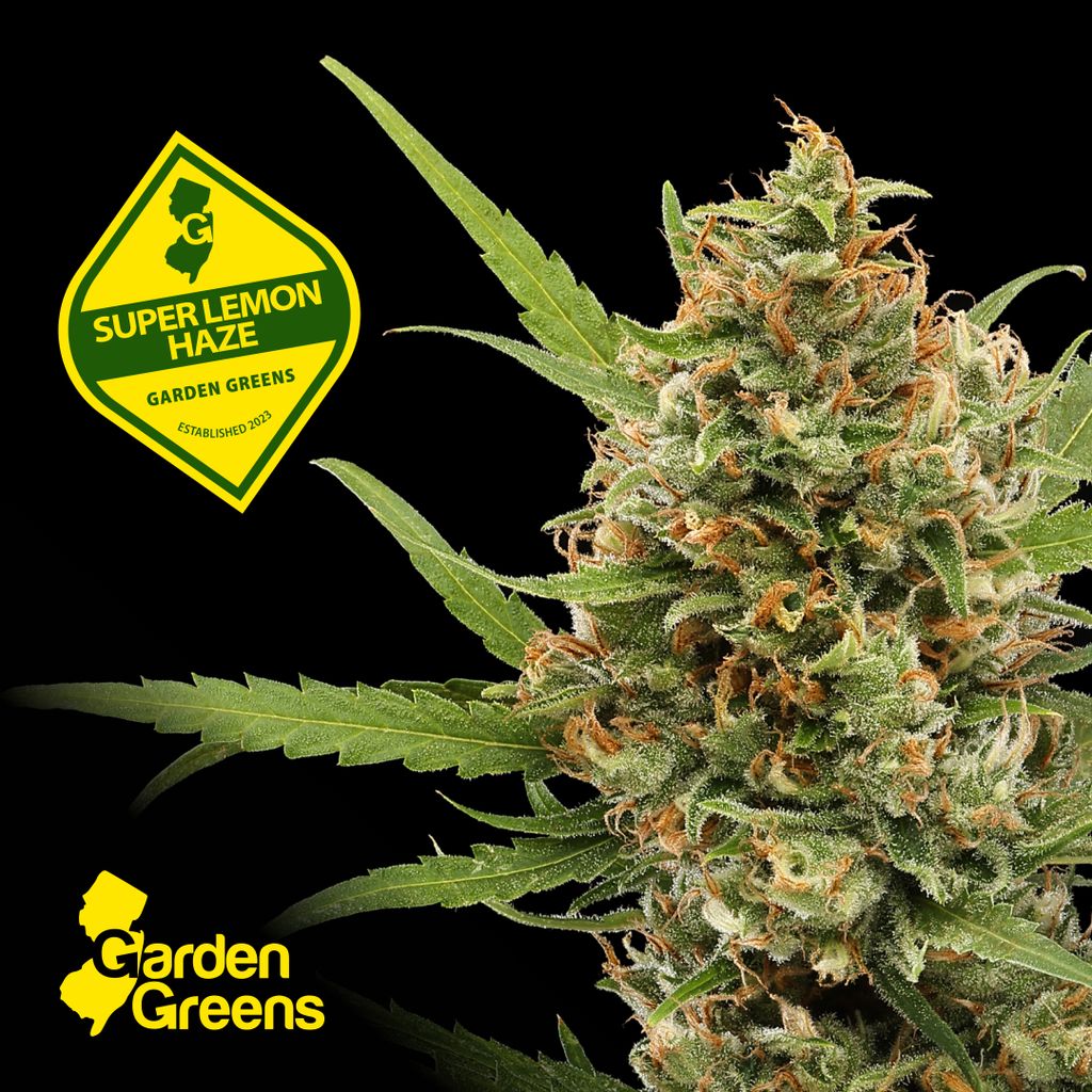 Garden Greens Super Lemon Haze Big Bud 3.5g