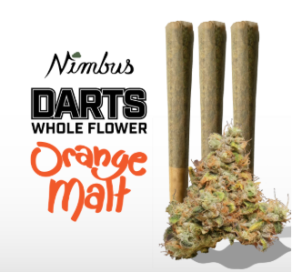 Darts Orange Malt Nimbus