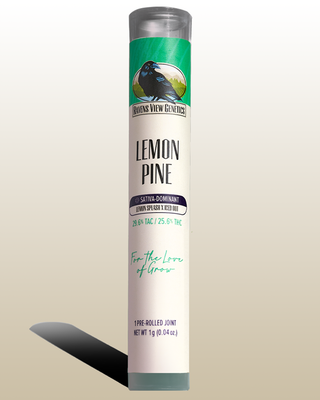 Lemon Pine Ravens View Genetics