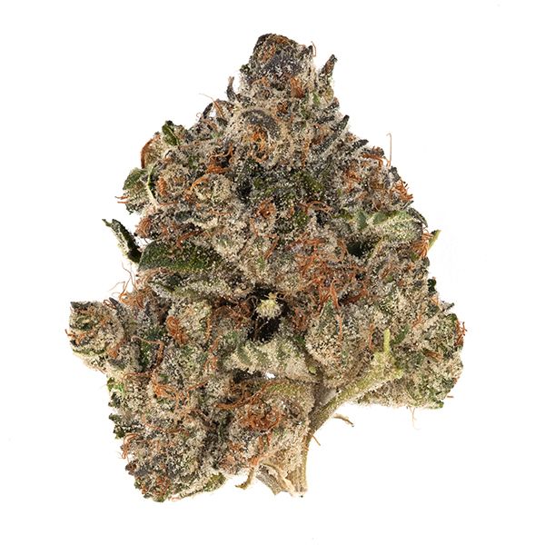 Bubba Fett Good Green