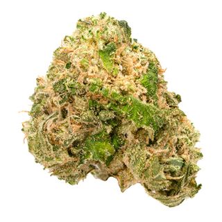 Head Cracker Good Green