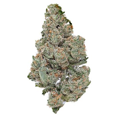 Jack Herer Good Green