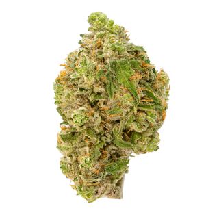 Lavender Gelato Good Green