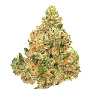 Sunset Sherbert Good Green