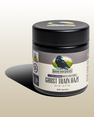 Ghost Train Haze Ravens View Genetics