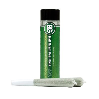 Glitterbomb Bedford Grow Glitterbomb Bedford Grow