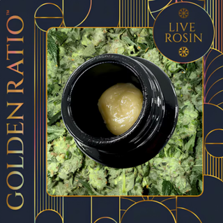 Apple Jelly Cold Cure Live Rosin (Tier 1) Golden Ratio
