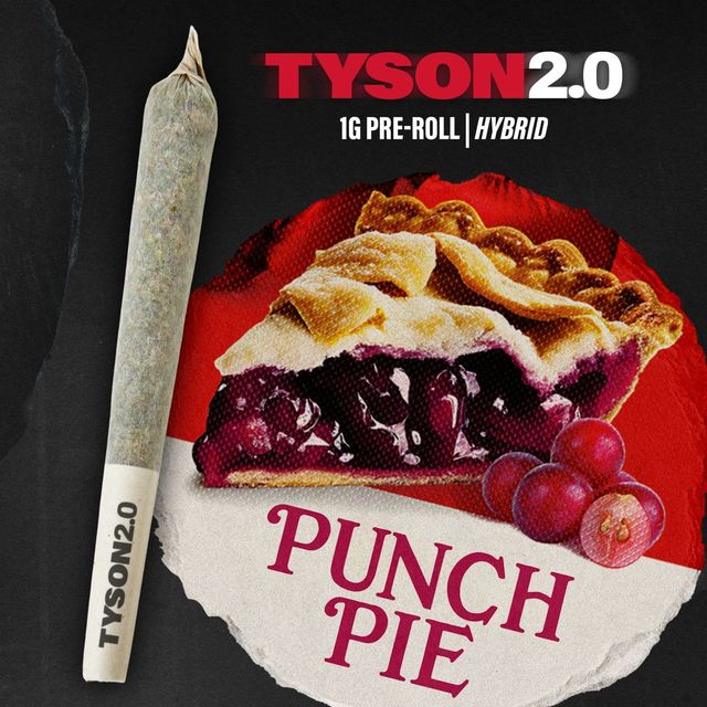 Punch Pie Tyson 2.0