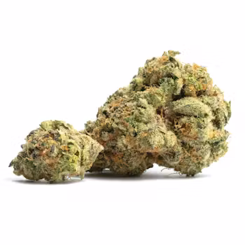 Blue Runtz Doghouse Farms