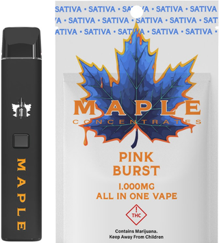 Pink Burst Maple Concentrate