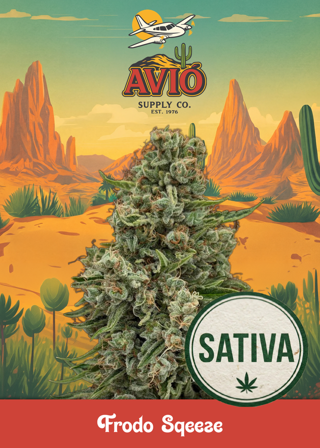 Frodo Sqeeze Avion