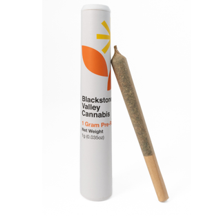 Frigid OG Pre-Roll Blackstone Valley Cannabis