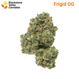 Frigid OG Blackstone Valley Cannabis