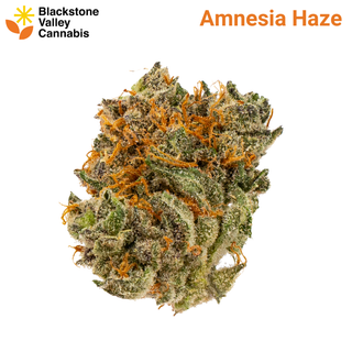 Amnesia Haze Blackstone Valley Cannabis