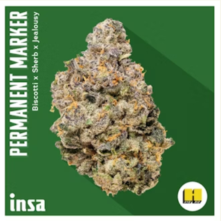 Permanent Marker INSA