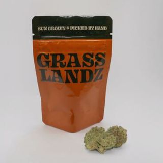 Gelato 45 Grasslandz