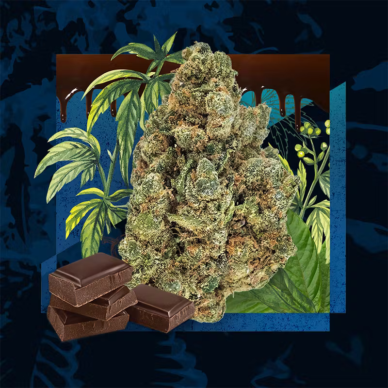 Chocolate OG 3.5g Cresco Labs