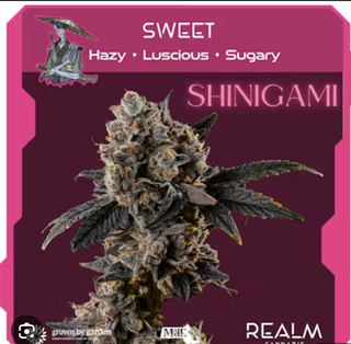 Shinigami Realm